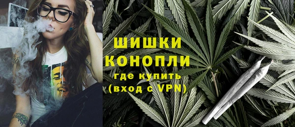 a pvp Ельня