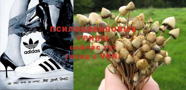 a pvp Ельня