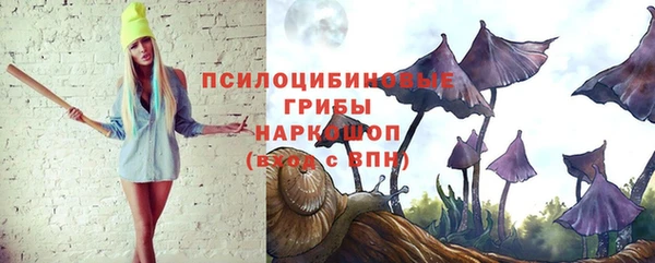 a pvp Ельня